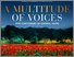 [thumbnail of Multitude of Voices - Sentinel.jpg]